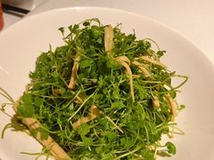 -悦融·京鲁菜·露台花园(安定门店)