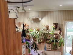 -Rabbit Cafe私房西餐甜点咖啡(栖霞路店)