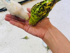 -上海大自然野生昆虫馆