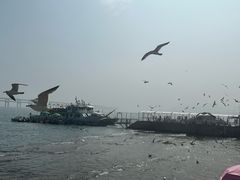 -星海广场