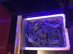 -潮中人·潮州菜(益乐路店)