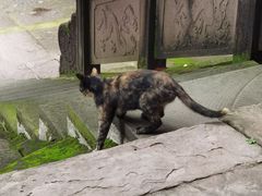 -金堂县云顶石城风景区