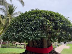 -海南清水湾莱佛士酒店