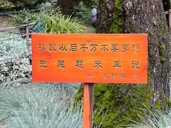 -寂照庵