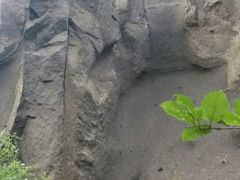 -峡谷浮石林景区