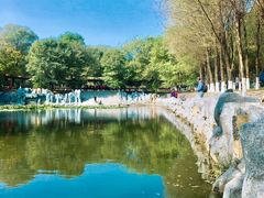 -高尔山公园