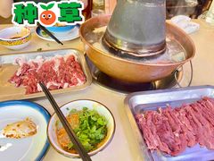 -月圆火锅(宁海东路二店)