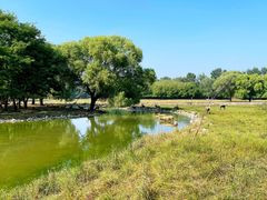 -北京麋鹿生态实验中心