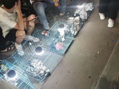 -健康路夜市