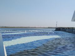 -贝林大翅鲸简餐厅(国家海洋博物馆店)