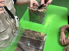 -正佳雨林生态植物园