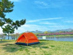 -羊亭河湿地公园