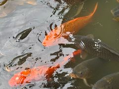 -柳侯公园