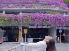 -深圳仙湖植物园-停车场
