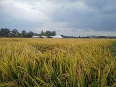 -中国天府农业博览园