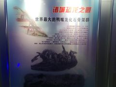 -诸城市恐龙博物馆