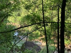 -广州白江湖森林公园