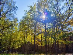 -阳台山自然风景区