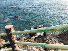 -广东惠东海龟国家级自然保护区