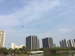 -南翔镇银翔湖公园