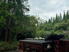 -同里国家湿地公园