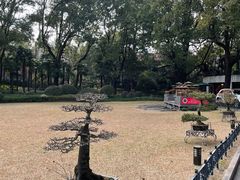 -申粤轩酒楼·三十年粤菜经典(丁香花园店)