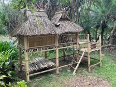 -中国科学院西双版纳热带植物园