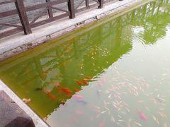 -河北村民俗体验园