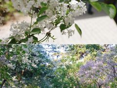-天坛公园
