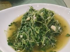 -旅宁大酒店