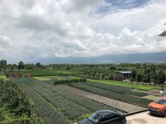 -翠田Green Field Kitchen