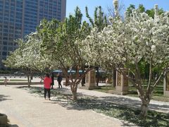 -远洋未来广场(育慧北路店)