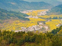 -婺源风景区