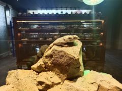 -帕帕拉兹宠物(亚洲旗舰店)