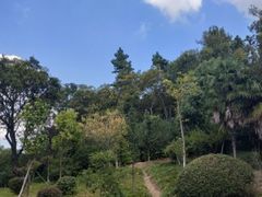 -平湖九龙山旅游度假区