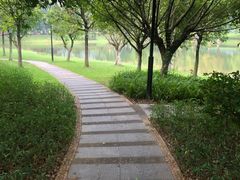 -东莞植物园