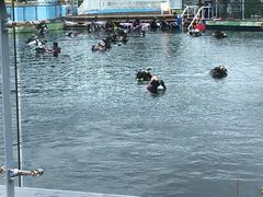 -瑞德姆美人鱼海底演艺主题餐厅(亚龙湾店)
