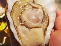 法国约瑟芬生蚝N1-囧吉香生蚝牛排馆(湖北路店)