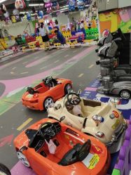 -欢乐陶陶儿童主题乐园(龙岗店)