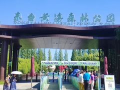 -黄海国家森林公园