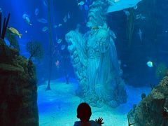 -沈阳海洋探索中心