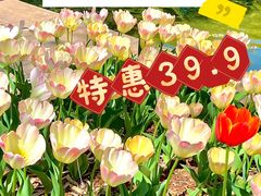 -上海山野camping·户外天幕烧烤·团建拓展营地