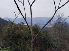 -东钱湖旅游度假区