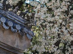 -潭柘寺景区