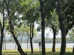 -顺峰山公园