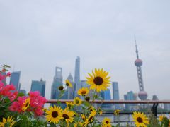 -北外滩滨江绿地