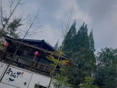 -青城甲(青城山店)