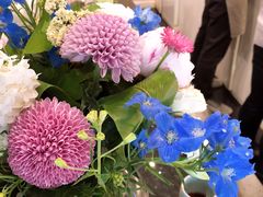-双风车咖啡馆 Twin Windmills(六道口店)