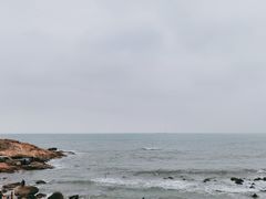 -广东惠东海龟国家级自然保护区