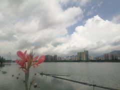 -飞来湖湿地公园